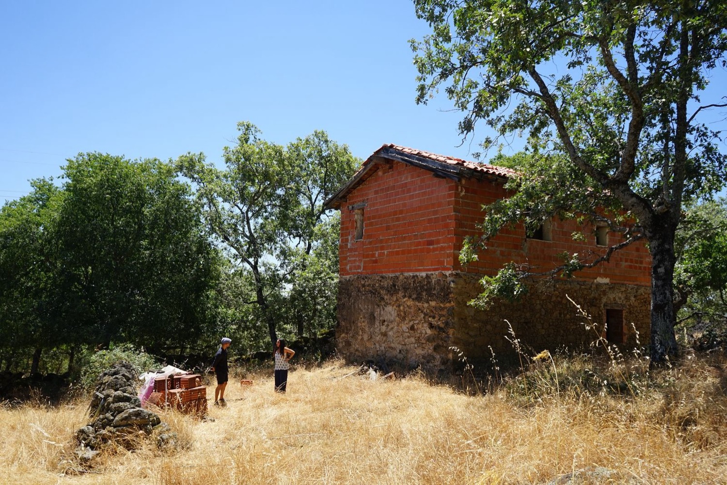 Albergue de bienestar